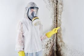 Best Basement Mold Removal  in Stanfield, OR